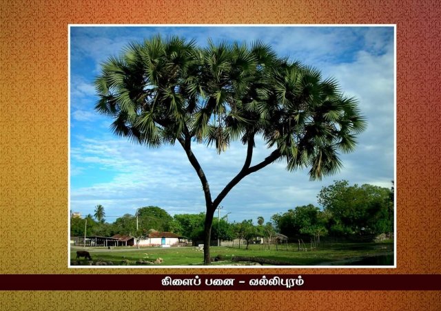 Historical Places